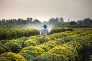 Read more about the article Schädlingsbekämpfung in der Landwirtschaft – Nicht immer ist alles öko, was ökologisch ist