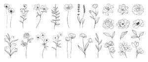 Satz von handgezeichneten botanischen Blumen
