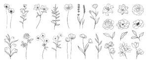 Satz von handgezeichneten botanischen Blumen